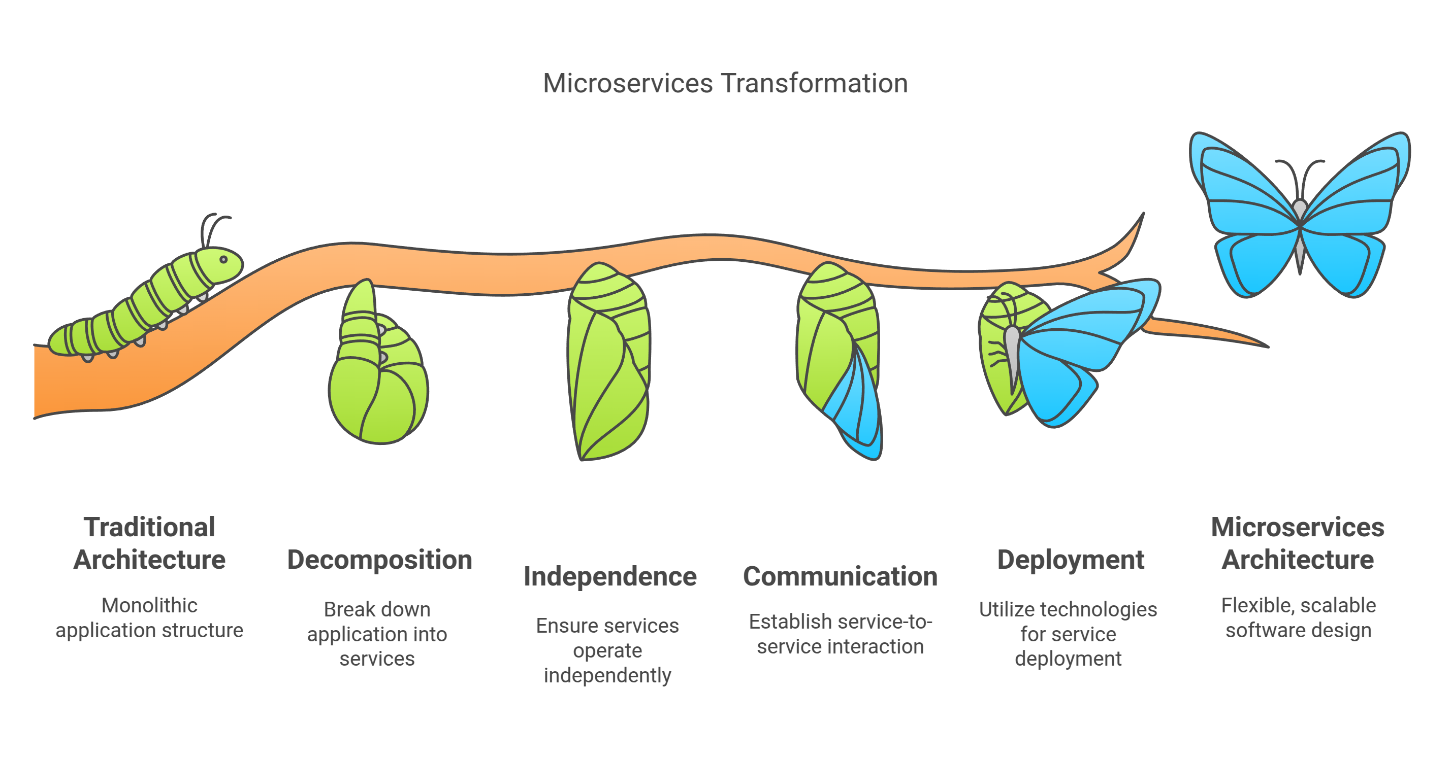 The Rise of Microservices in Software Development - Microservices architecture in modern software building